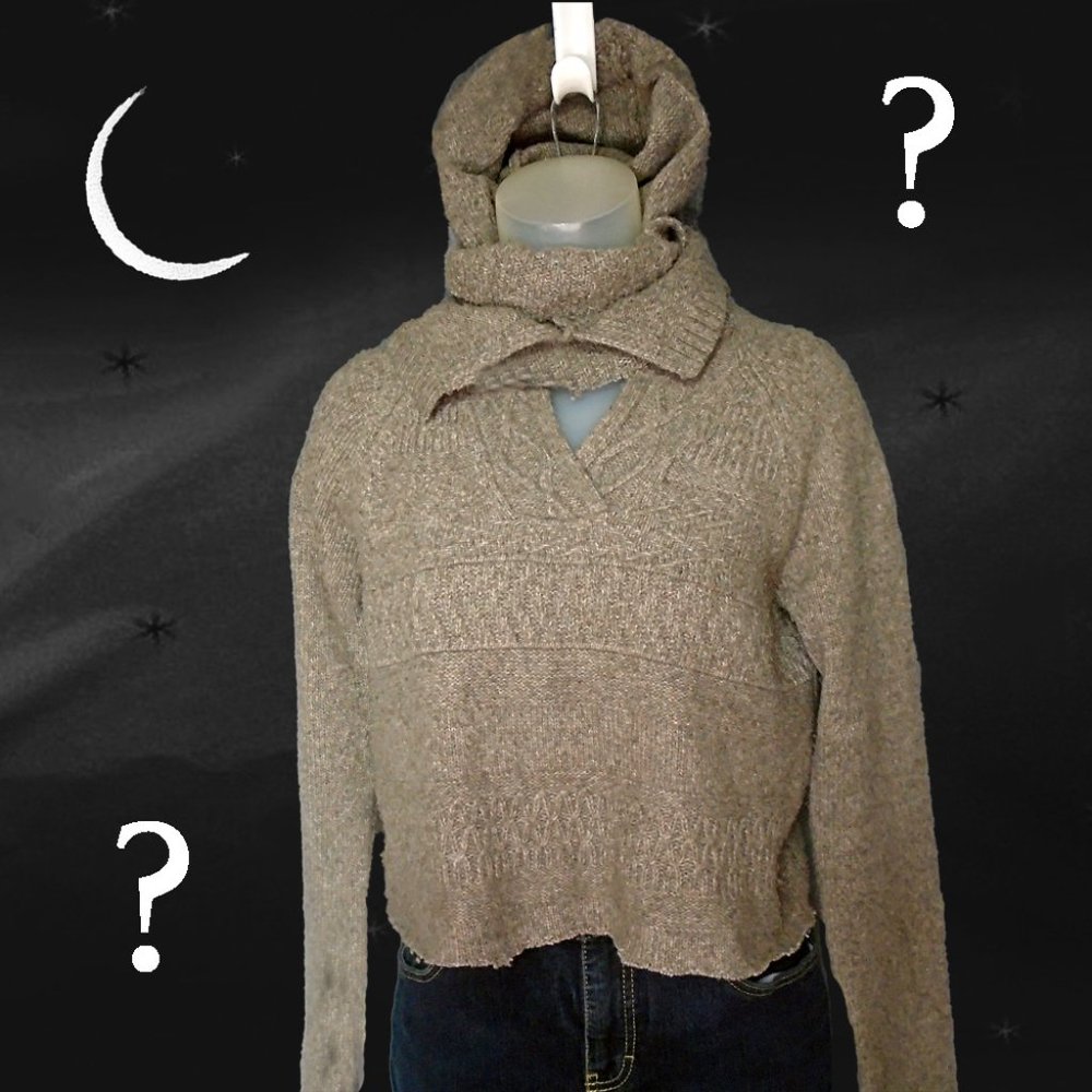 Hoodie, Cropped One of a Kind Sweater...Wait....What IS This?